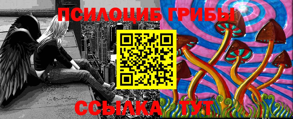 Галлюциногенные грибы Psilocybe  Псилоцибиновые грибы GOLDEN TEACHER  Заинск  Вход с VPN 
