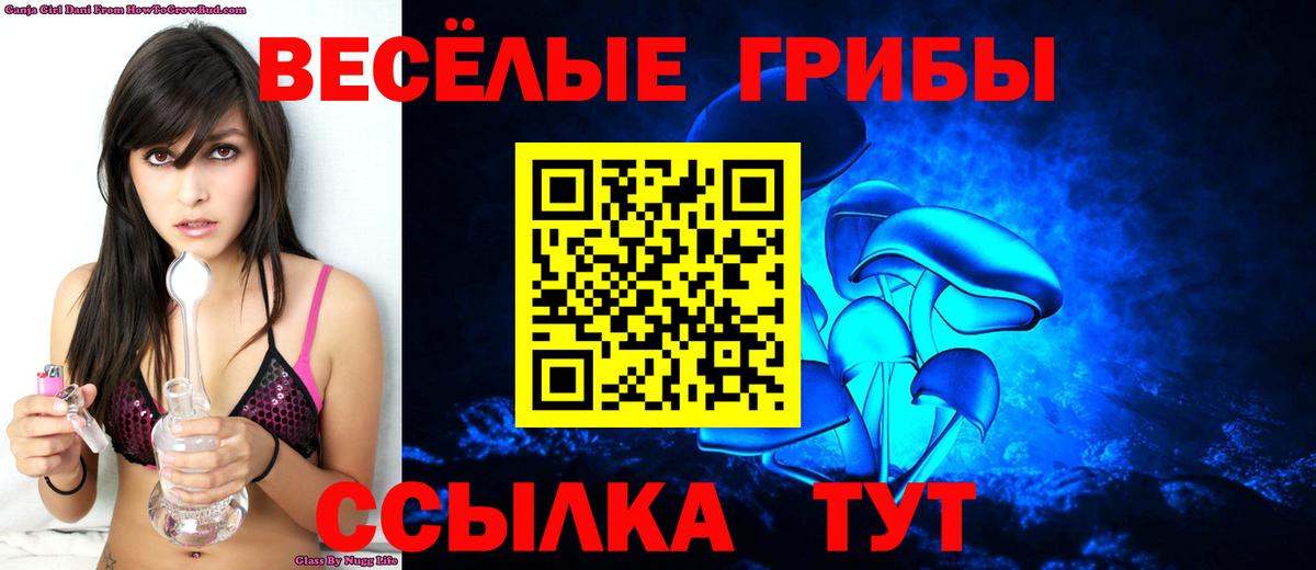 Галлюциногенные грибы Cubensis Заинск