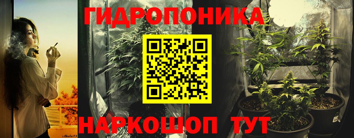 Шишки марихуана конопля Заинск